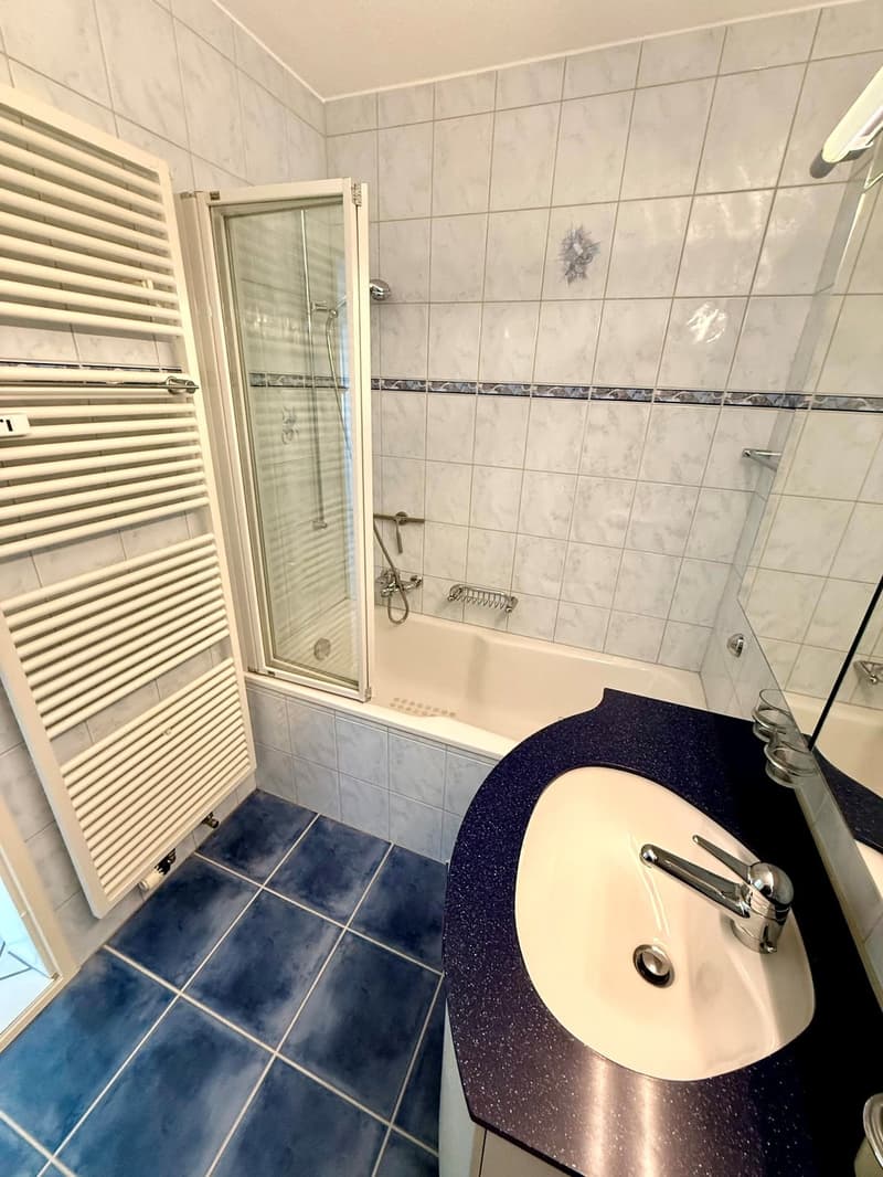 4 ½ Zimmer-Wohnung, 4562 Biberist (12)