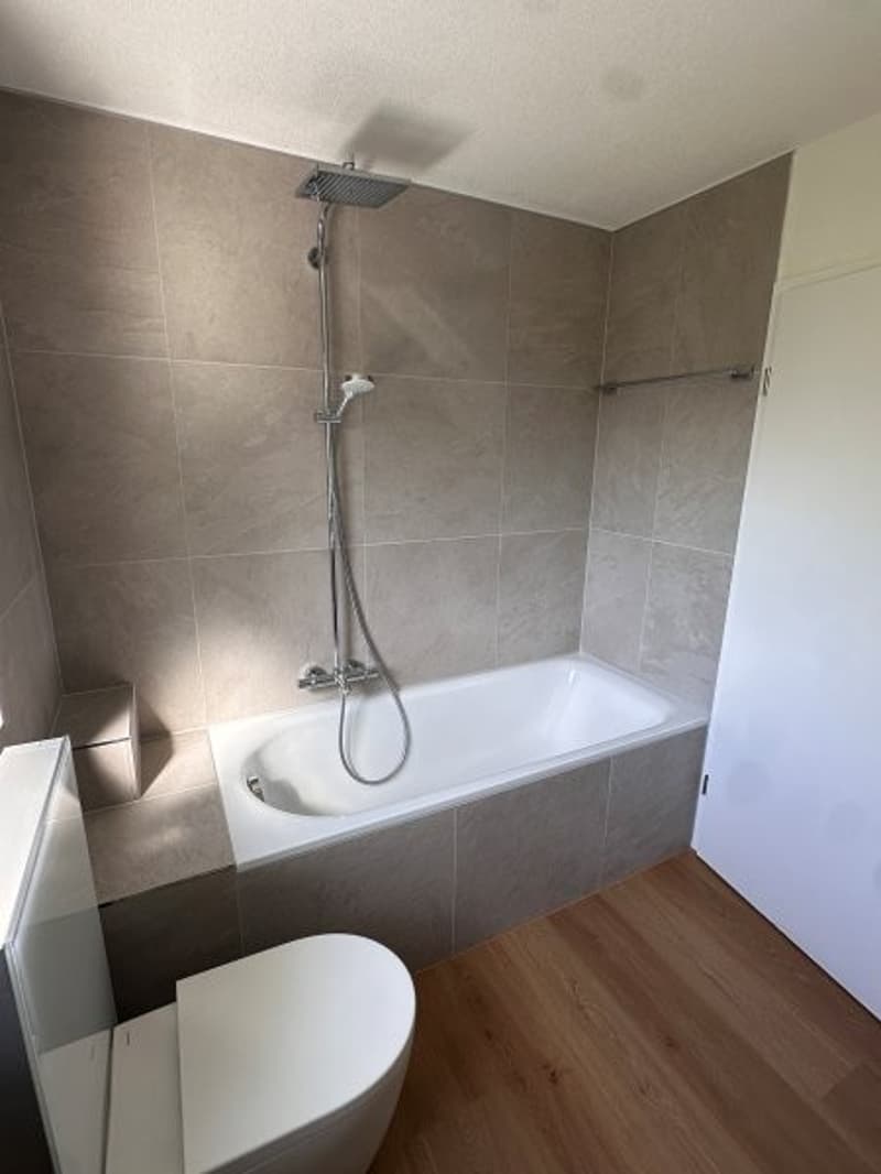 Casa a schiera di 5,5 locali curata e ristrutturata a nuovo ad Allmendingen vicino a Berna (4)