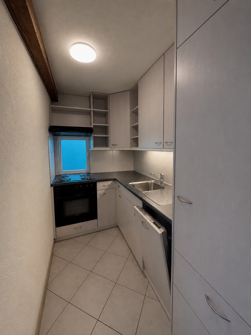 Charmante 3.5-Zimmer-Wohnung im Dachgeschoss (2)