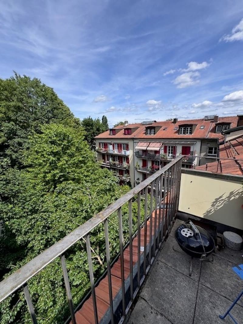 Charmante 3.5-Zimmer-Wohnung im Dachgeschoss (11)