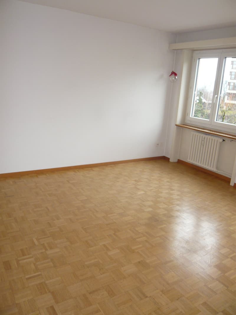 Appartamento 2 camere appena ristrutturato vicino al Rosengarten (4)