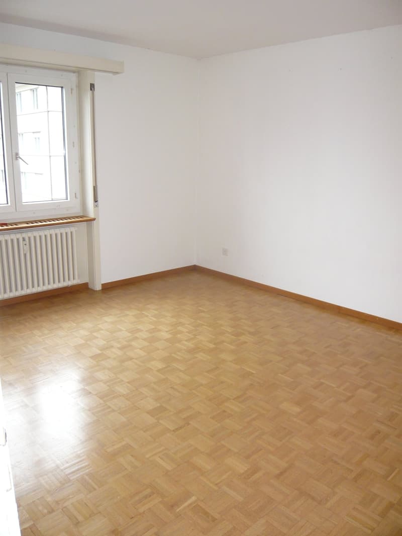 Appartamento 2 camere appena ristrutturato vicino al Rosengarten (5)