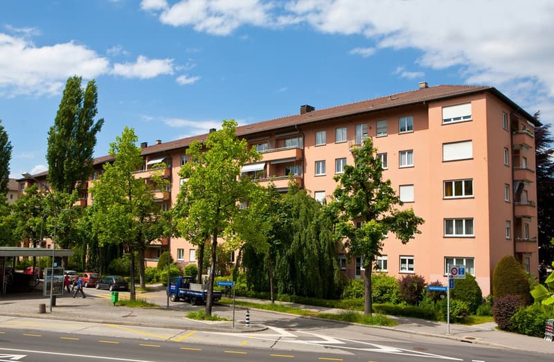 frisch sanierte 2-Zimmerwohnung beim Rosengarten (5)