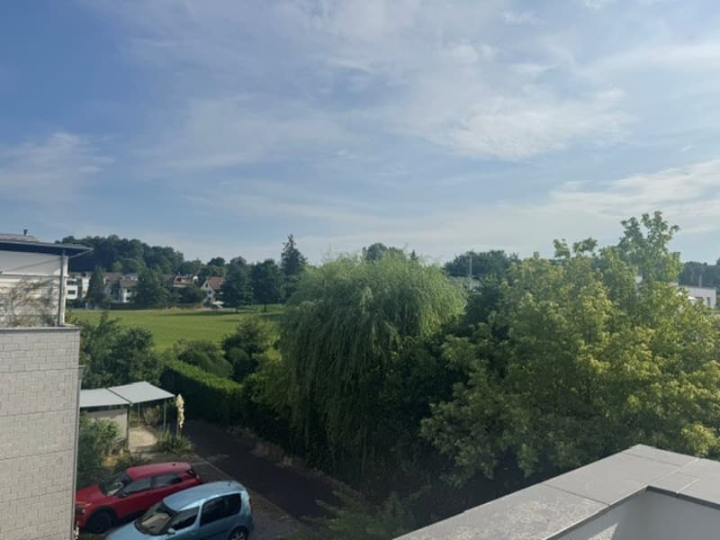 First occupancy in beautifully renovated 4 ½ room apartment in 3-party house (17)