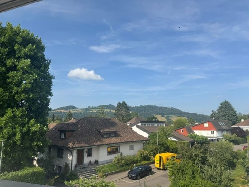 First occupancy in beautifully renovated 4 ½ room apartment in 3-party house (16)