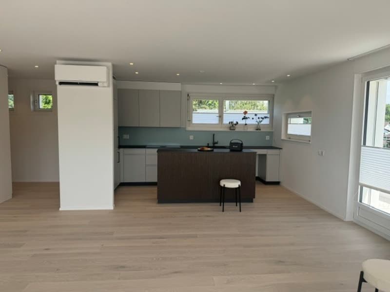 First occupancy in beautifully renovated 4 ½ room apartment in 3-party house (5)