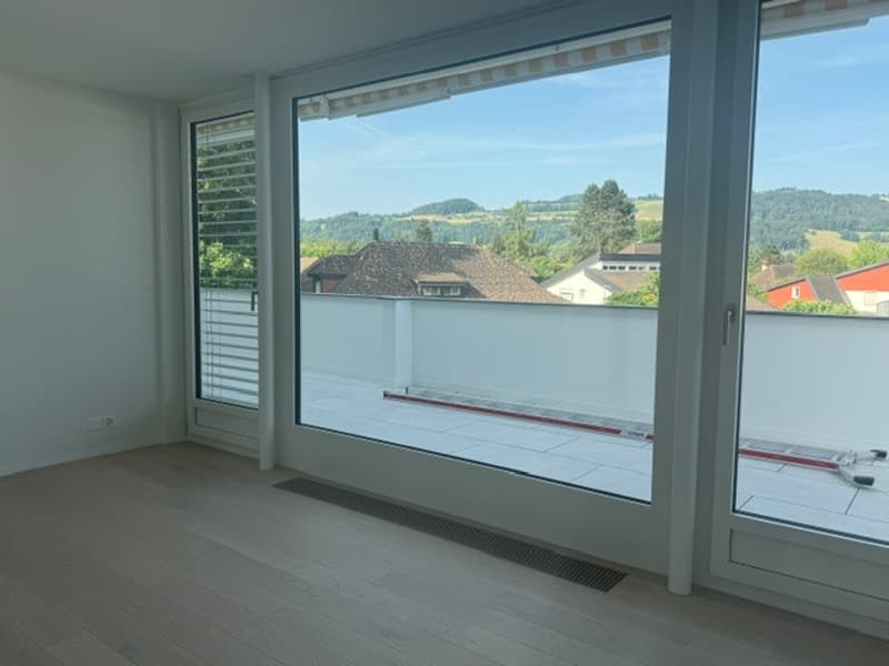 First occupancy in beautifully renovated 4 ½ room apartment in 3-party house (12)