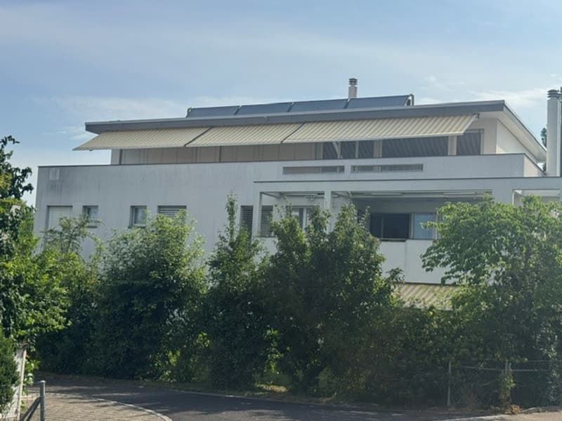 First occupancy in beautifully renovated 4 ½ room apartment in 3-party house (2)