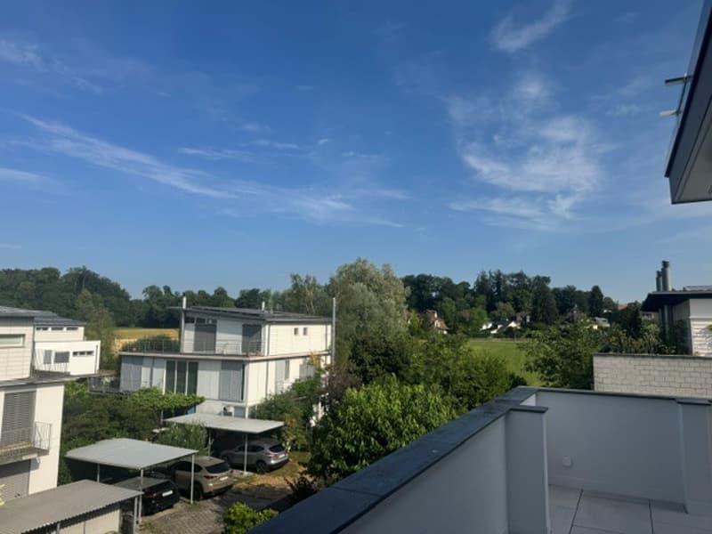 First occupancy in beautifully renovated 4 ½ room apartment in 3-party house (15)