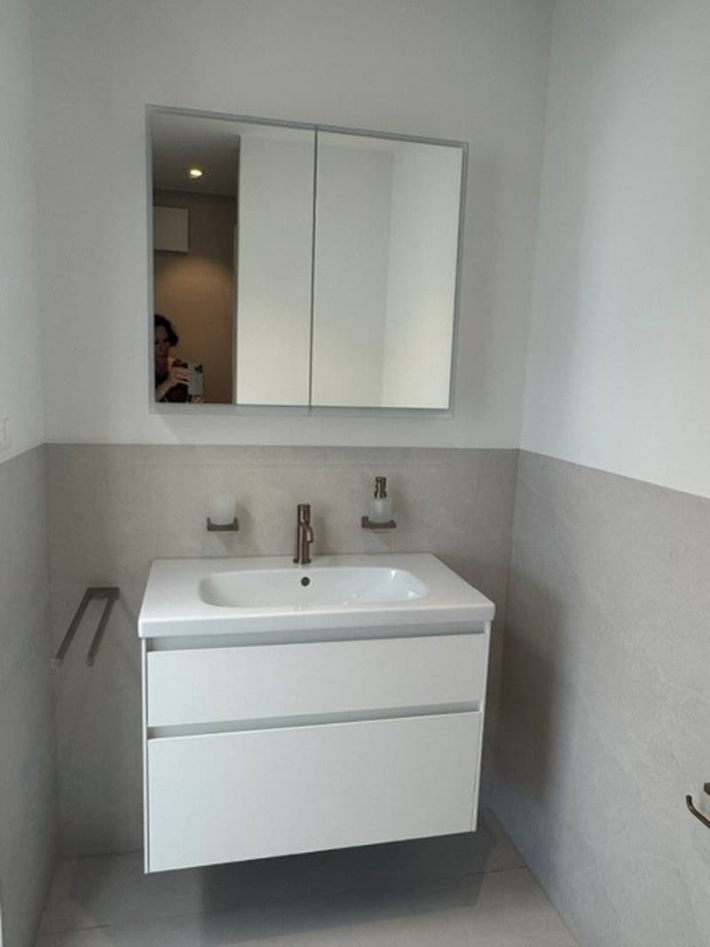 First occupancy in beautifully renovated 4 ½ room apartment in 3-party house (8)