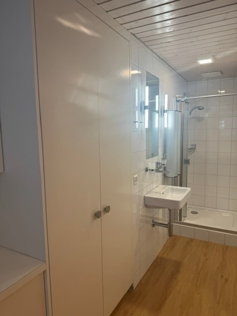 First occupancy in beautifully renovated 4 ½ room apartment in 3-party house (23)