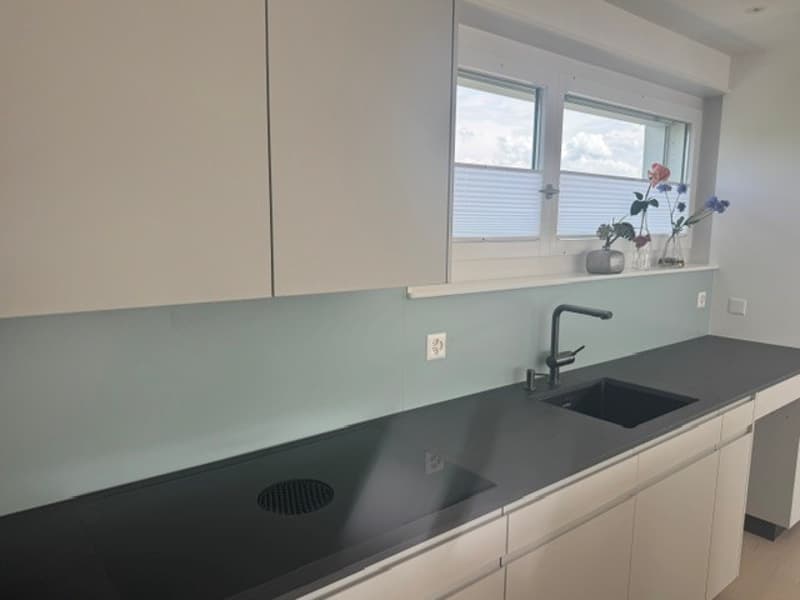 First occupancy in beautifully renovated 4 ½ room apartment in 3-party house (4)