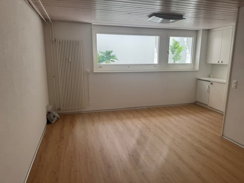 First occupancy in beautifully renovated 4 ½ room apartment in 3-party house (22)