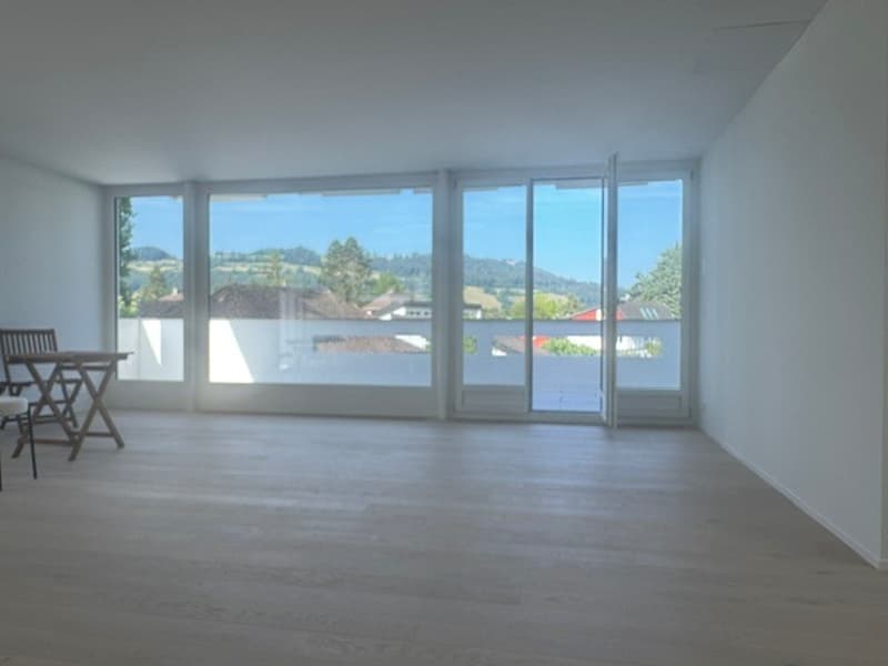 First occupancy in beautifully renovated 4 ½ room apartment in 3-party house (10)