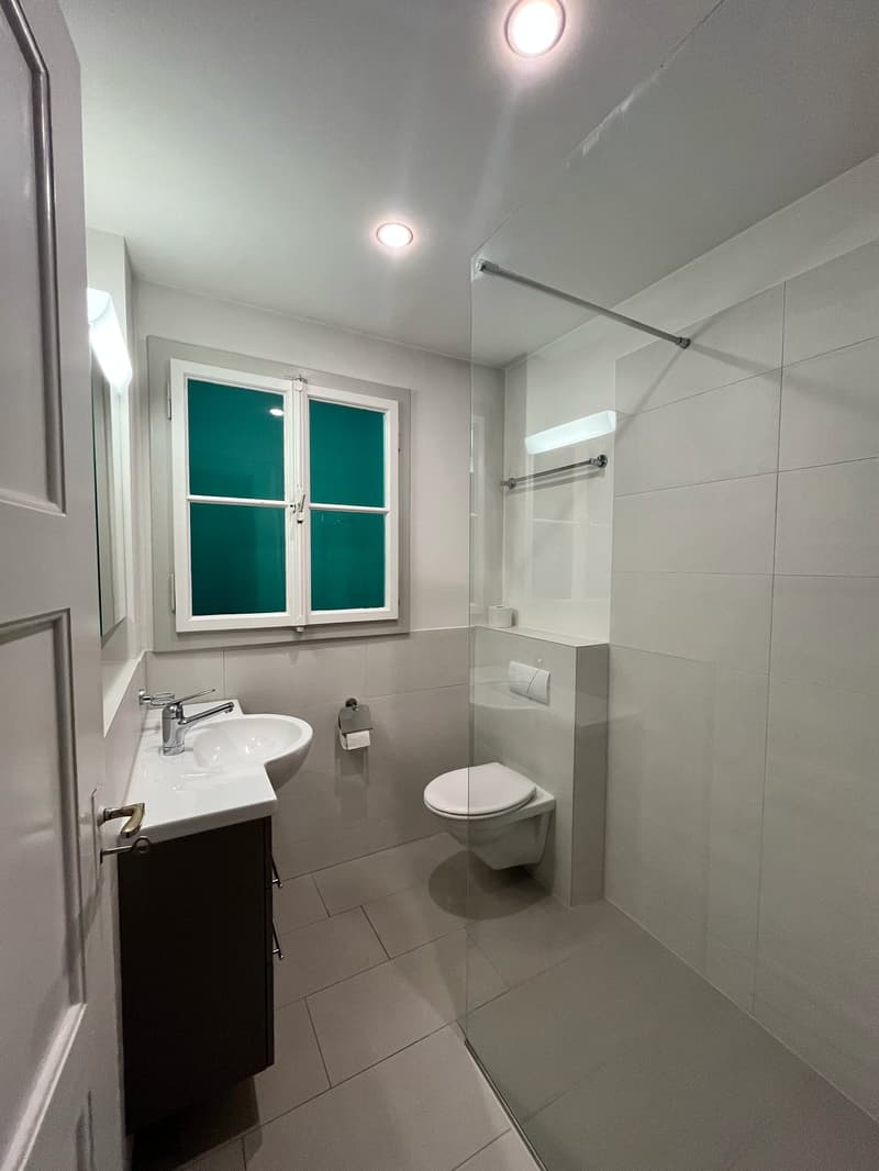 Charmant appartement 3.5 pièces dans le quartier de Weissenbühl (3)