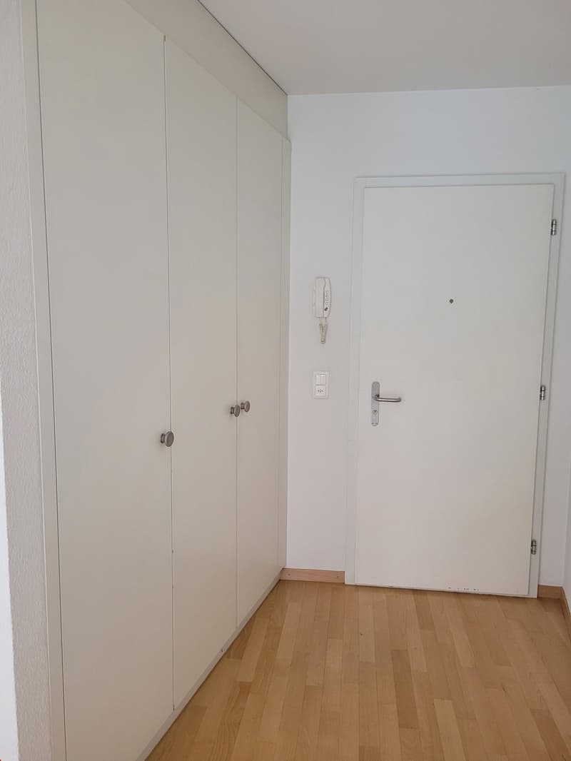 Appartement spacieux en vieille ville au cœur de Berne ! (9)
