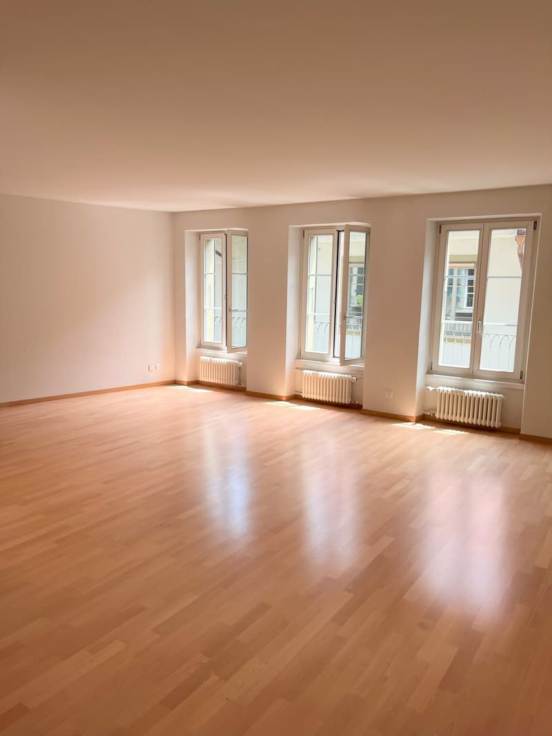 Appartement spacieux en vieille ville au cœur de Berne ! (7)
