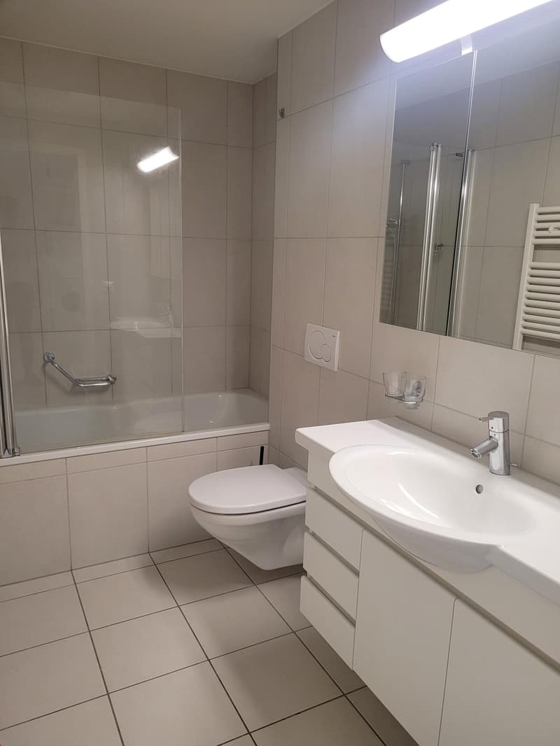 Appartement spacieux en vieille ville au cœur de Berne ! (4)