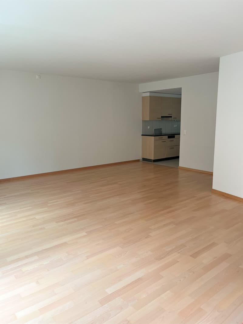 Appartement spacieux en vieille ville au cœur de Berne ! (6)