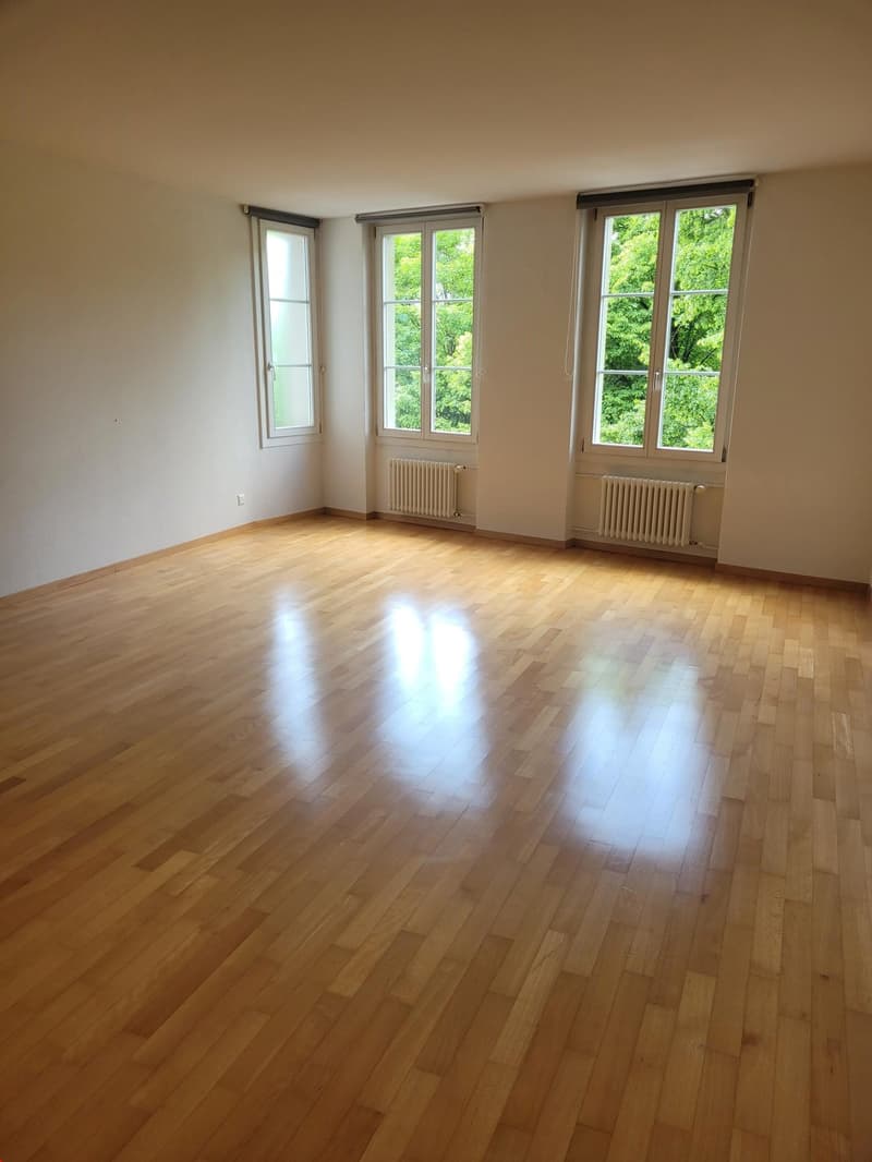 Appartement spacieux en vieille ville au cœur de Berne ! (8)