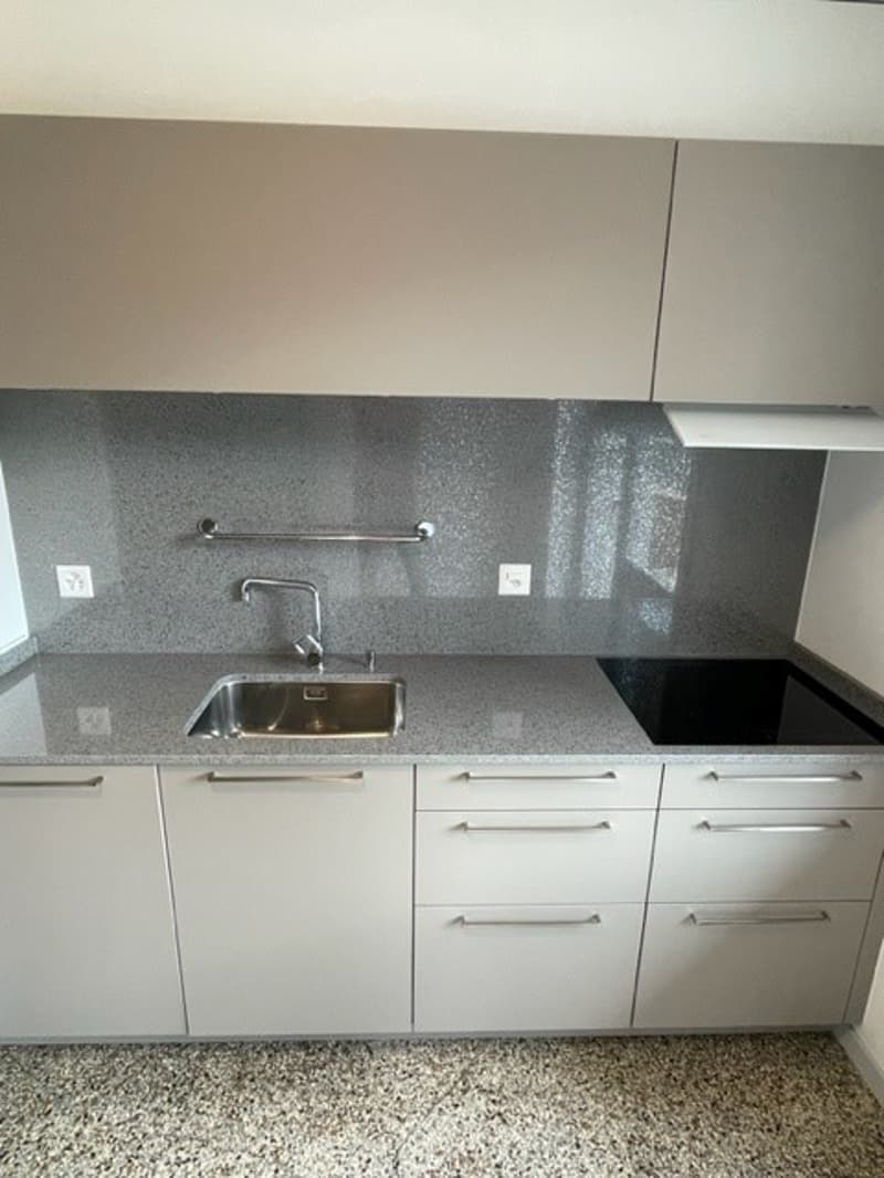 Moderne Wohnung mit Mansarde (2)