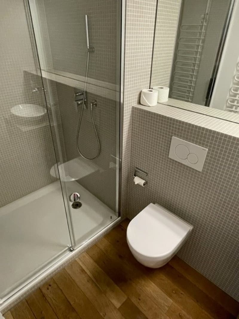 Moderne Wohnung mit Mansarde (11)