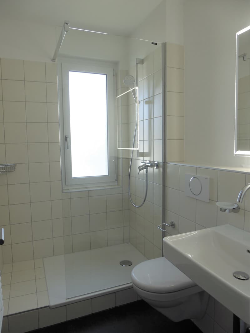Very bright, sunny 2-room single apartment on the ground floor (8)