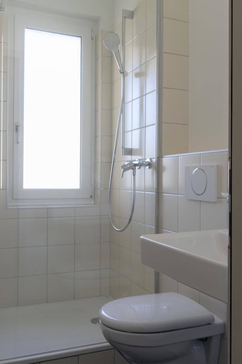 Very bright, sunny 2-room single apartment on the ground floor (9)