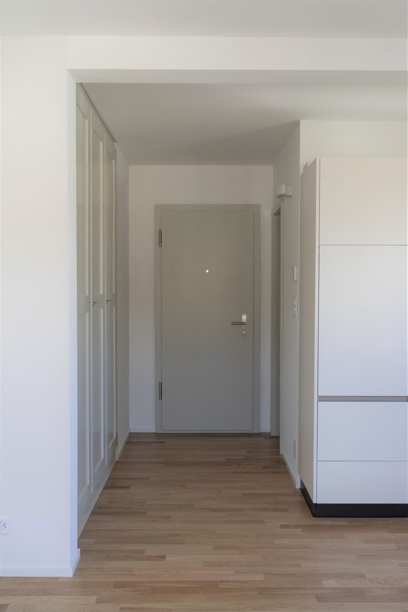 Very bright, sunny 2-room single apartment on the ground floor (7)