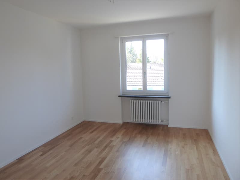 Very bright, sunny 2-room single apartment on the ground floor (5)