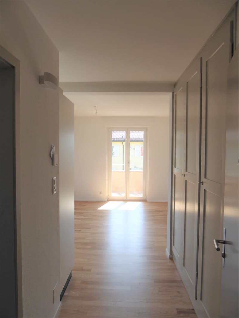 Very bright, sunny 2-room single apartment on the ground floor (6)