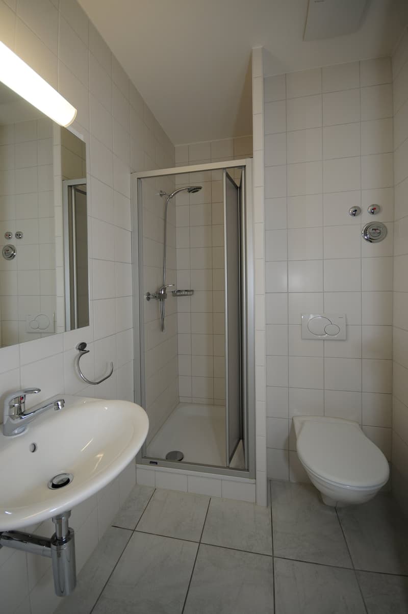 Charmante Wohnung in ruhigem Wohnquartier (8)