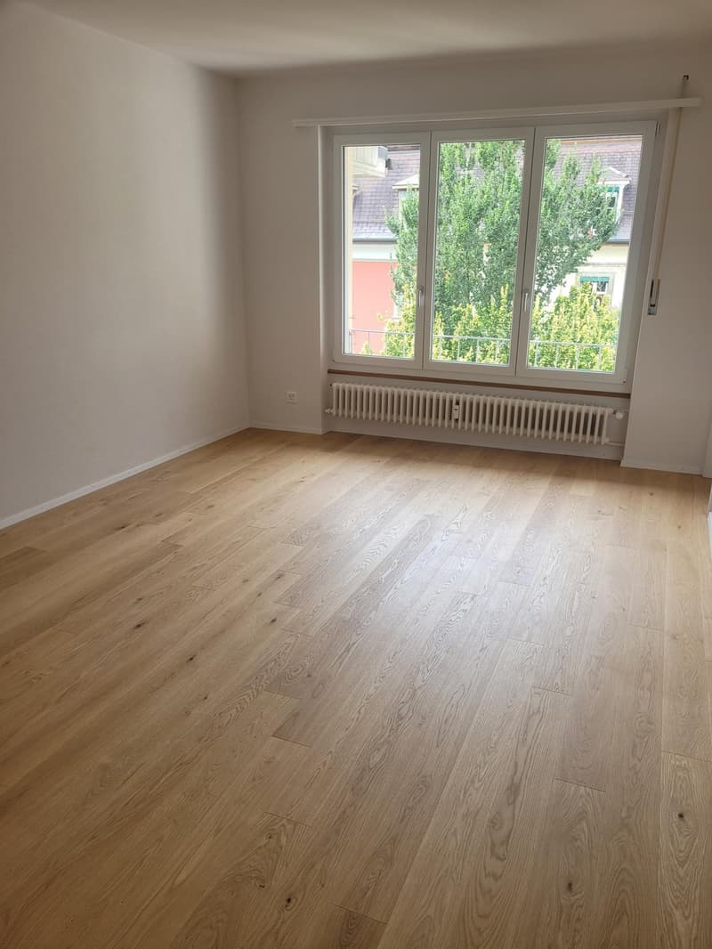 Charming 1.0-room apartment for rent in the Länggassquartier! (6)