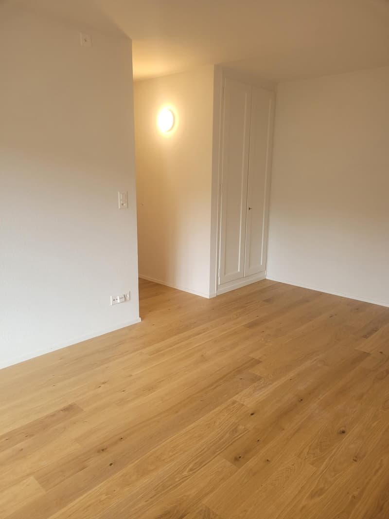 Charming 1.0-room apartment for rent in the Länggassquartier! (5)