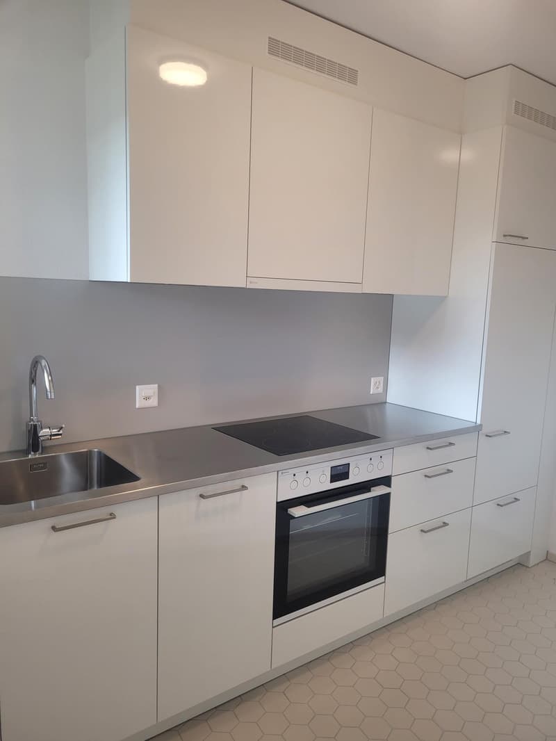 Charming 1.0-room apartment for rent in the Länggassquartier! (2)