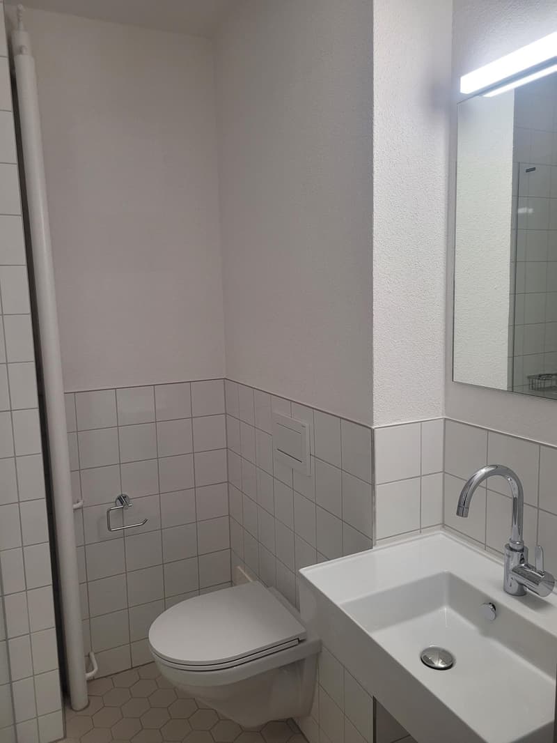 Charming 1.0-room apartment for rent in the Länggassquartier! (4)