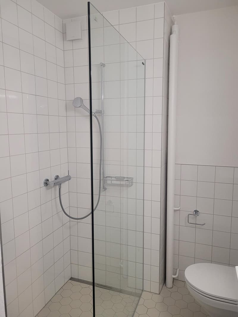 Charming 1.0-room apartment for rent in the Länggassquartier! (3)