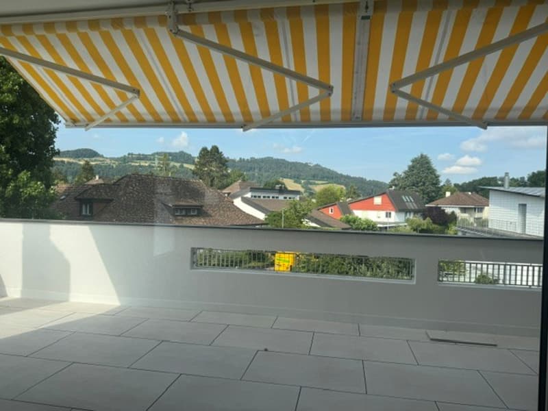 First-time occupancy in beautifully renovated attic apartment in 3-party house (15)