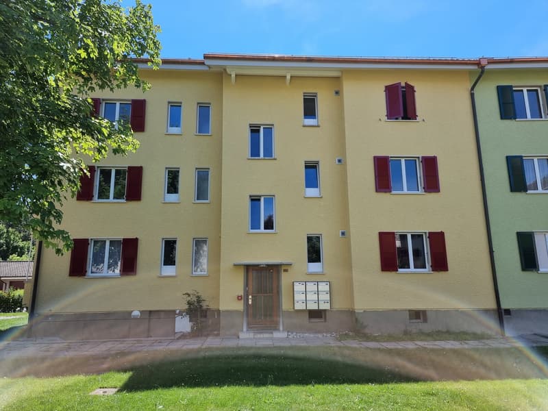 Appartamento molto luminoso, soleggiato di 2 locali al 2° piano (9)