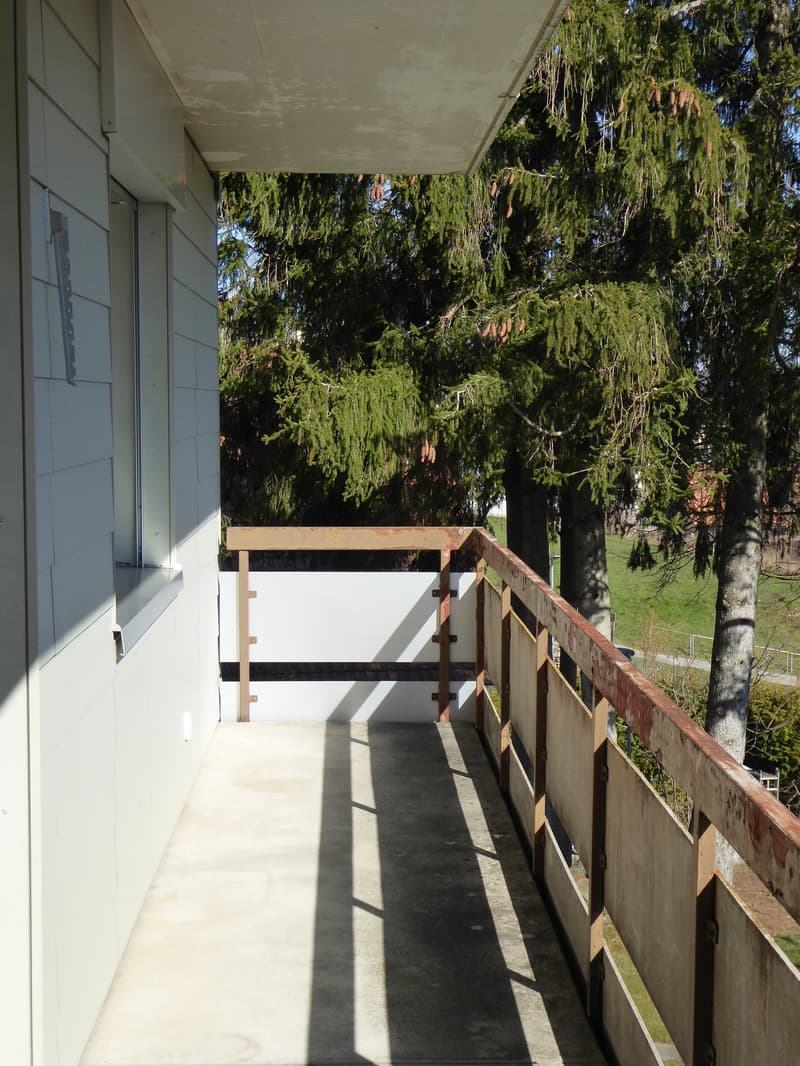 Appartement lumineux 4.5 pièces avec balcon spacieux (6)