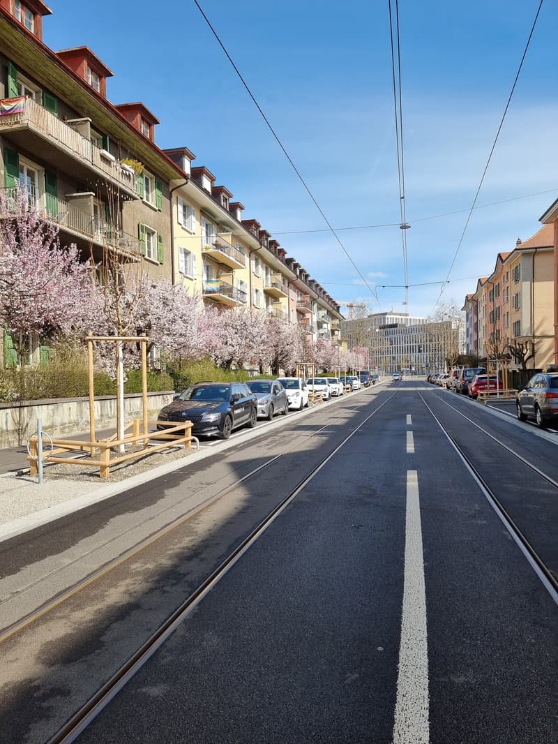 Appartamento molto luminoso e soleggiato di 2 locali al piano mansardato (13)