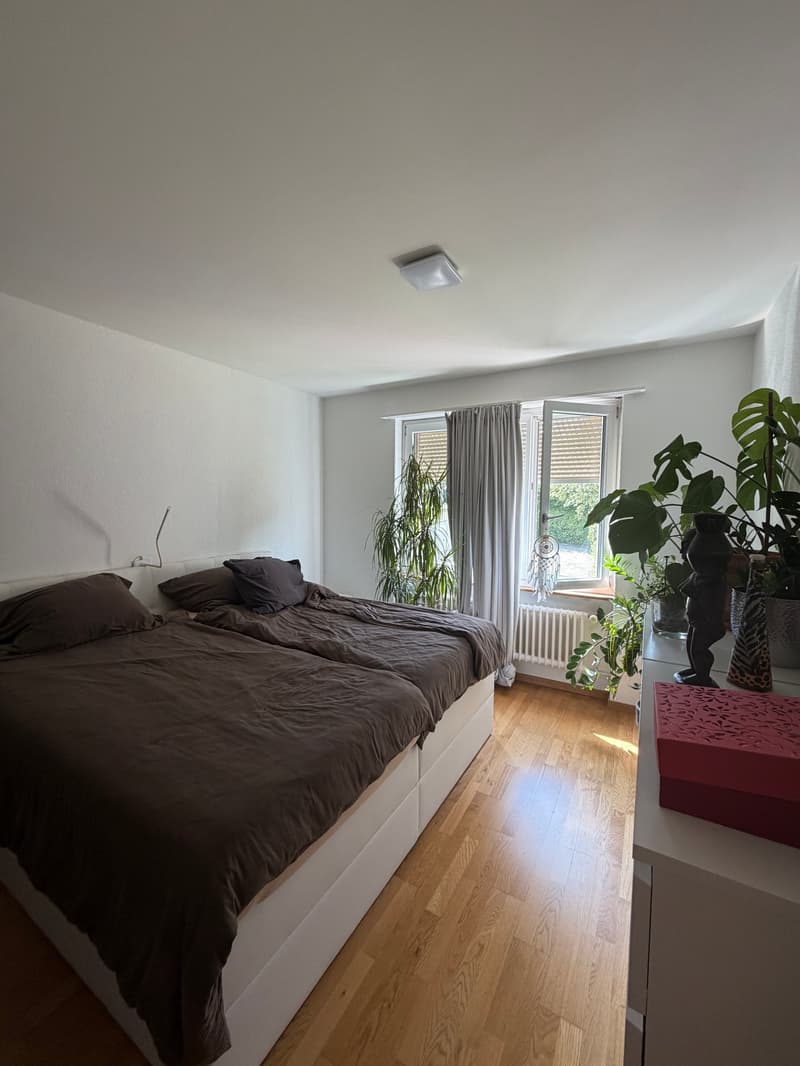zentrale Wohnung in Wabern (3)