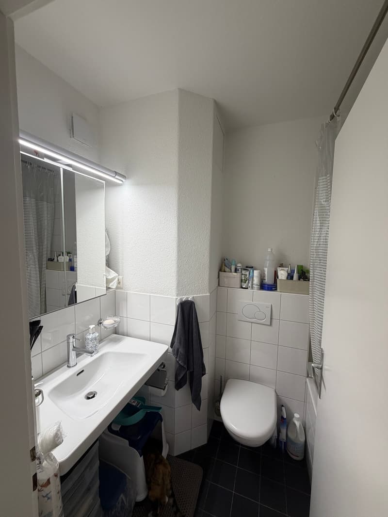 zentrale Wohnung in Wabern (4)