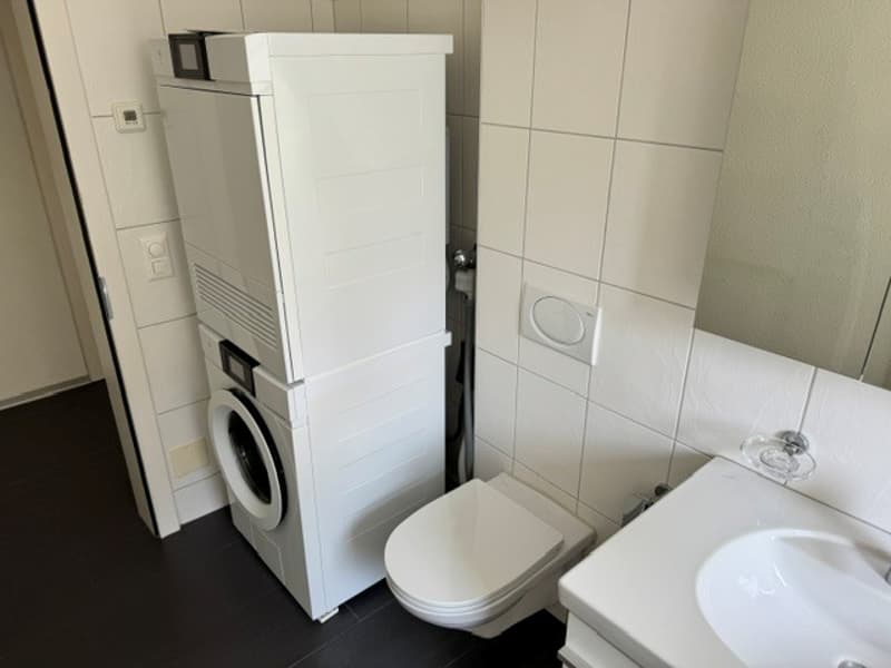 Grosszügige 3-Zimmer-Wohnung mit Gartenzugang (8)