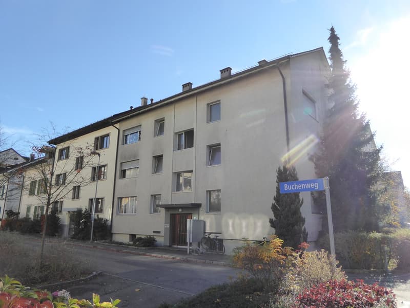 Im 2025 saniert! 2-Zimmerwohnung mit Loggia (1)