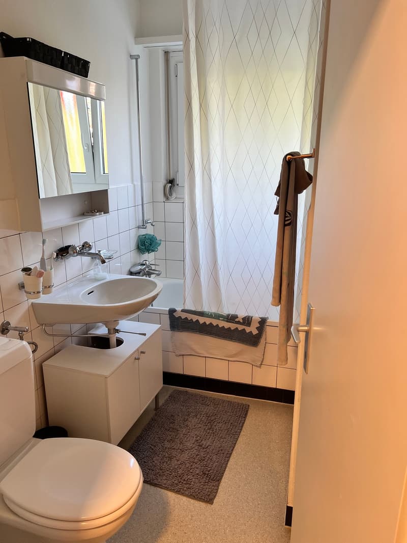 Sonnige 2.5 - Zimmer-Attikawohnung mit grosser Terrasse! (3)