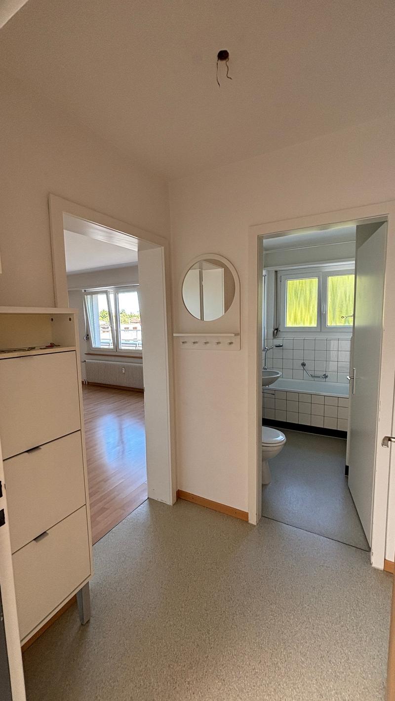 Sonnige 2.5 - Zimmer-Attikawohnung mit grosser Terrasse! (7)