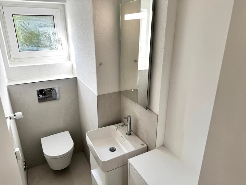 ***Erstvermietung nach Sanierung*** - 4.5-Zimmerwohnung mit Weitblick (7)