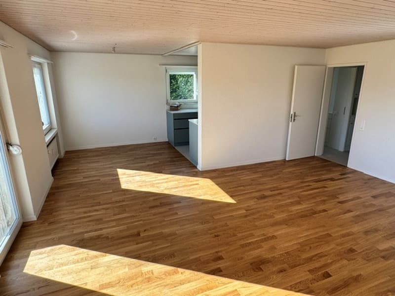 ***Erstvermietung nach Sanierung*** - 4.5-Zimmerwohnung mit Weitblick (4)