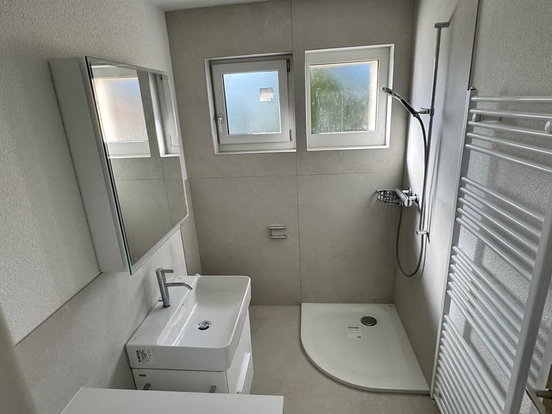 ***Erstvermietung nach Sanierung*** - 4.5-Zimmerwohnung mit Weitblick (5)